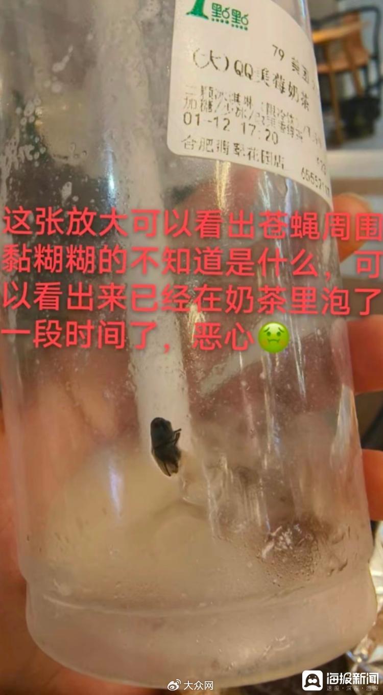 女子称在外卖奶茶中喝到苍蝇 店主回应：不可能 有监控